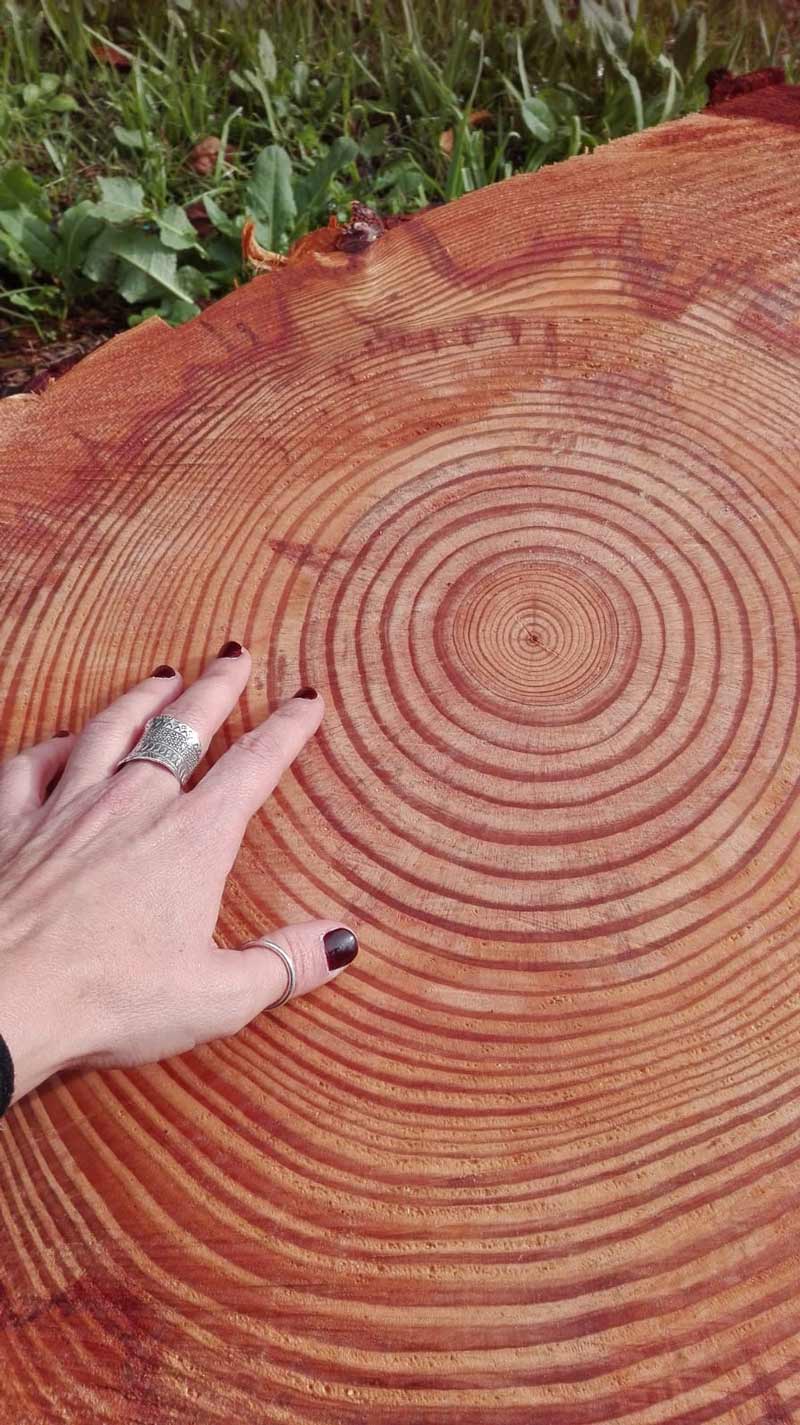 Come si coltiva la Mindfulness